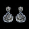 White Topaz Studded Gold Plated Festive Earrings FE-1193