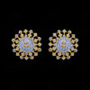 White Topaz Studded Gold Plated Festive Earrings FE-1199