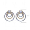 Topaz Studded Gold Plated Festive Earrings FE-1220