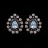 White Topaz Studded Elegant Pair Of Earrings FE-1227