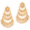 Traditional Pearls Beaded Gold Plated Dangle Earrings FE-1256