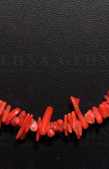 Natural Coral Gemstone Necklace NP-1314