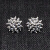 Silver Pyrite Glass Beads Earrings (Tops) For Girl & Women CE-1051