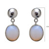 Gehna Jaipur Opal Color Stone Studded Earrings For Girls & Women GE01-1594 - Image 3