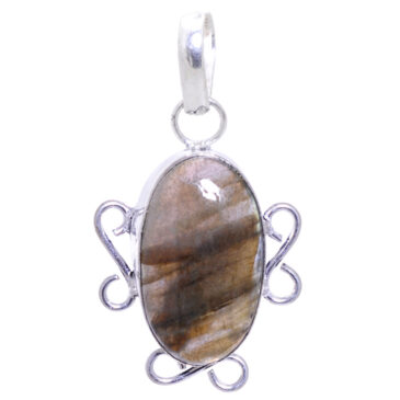 petrified wood gemstone pendant in 925 sterling silver overlay metal