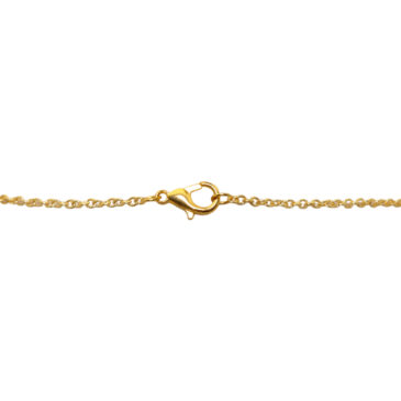 Carnelian Gemstone Attached With Gold Rhodium Plating Chain